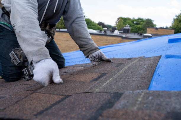 Best Flat Roof Repair Services  in West Falls Church, VA