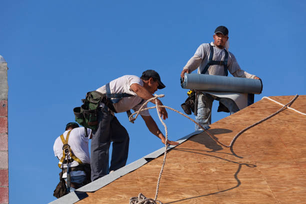 Roof Gutter Cleaning in West Falls Church, VA