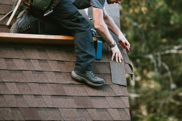 Best Roof Gutter Cleaning  in West Falls Church, VA